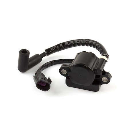 Briggs & Stratton COIL-IGNITION 593856